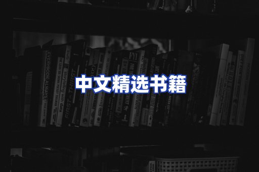 中文精选书籍